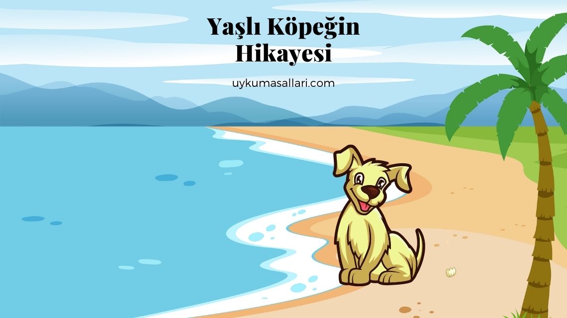 Yaşlı Köpeğin Hikayesi